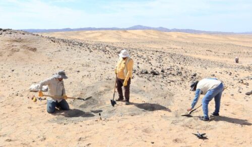 Remains of 80-Million-Year-Old Marine Reptiles Discovered in Saudi Arabia - TOURISMSAUDIARABIA.com - TRAVELINDEX